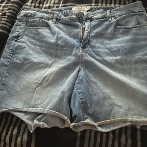 Blue Jean shorts from torrid size 20